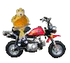 Avatar do Utilizador
