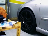 Avatar do Utilizador